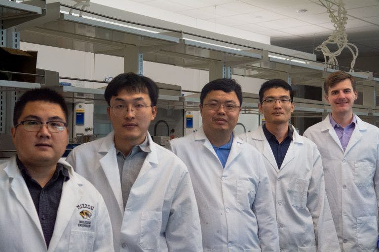 From left to right: Ganggang Zhao, Zehua Chen, Zheng Yan, Yadong Xu and Brian Arends. Pate McCuien/University of Missouri